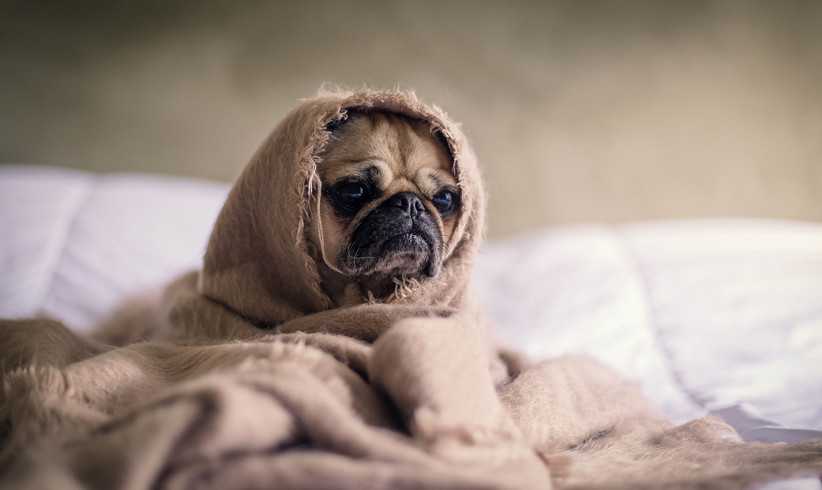 Studien fürs ego gegen trübe Winterlaune 