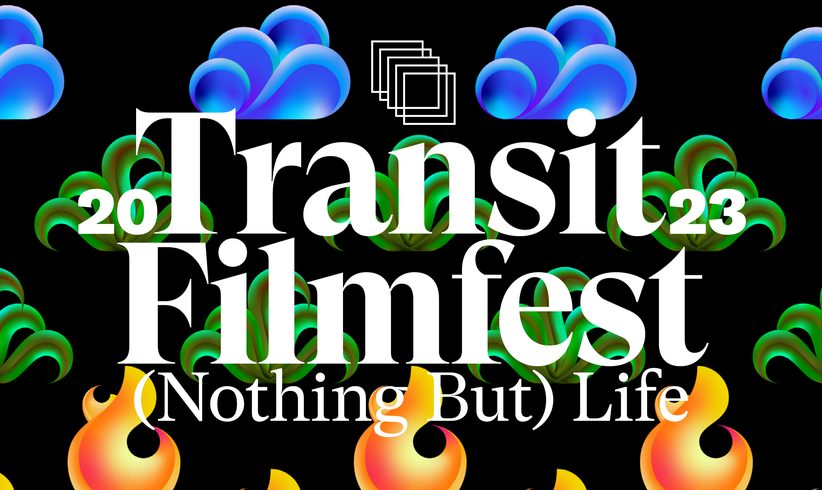 Das Transit Filmfest Regensburg