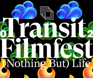 Das Transit Filmfest Regensburg