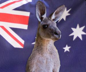 15 spannende Fakten über Australien 