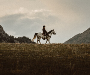 Die besten Western aller Zeiten